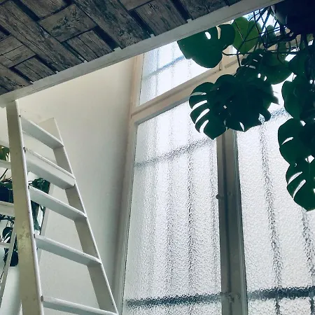 Boutique Lekkerurlaub *