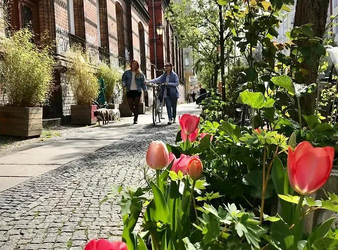 Boutique Lekkerurlaub *