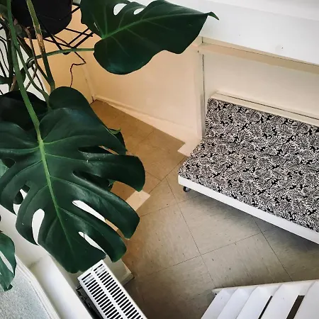 Boutique Lekkerurlaub Hostel